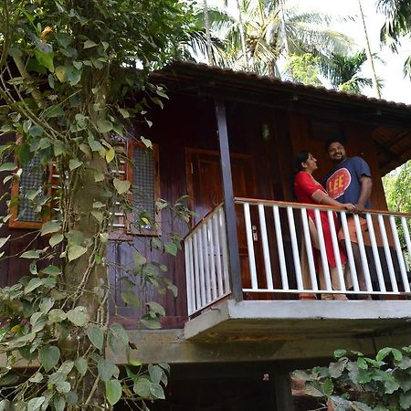 فيثيري Little Home Resort المظهر الخارجي الصورة