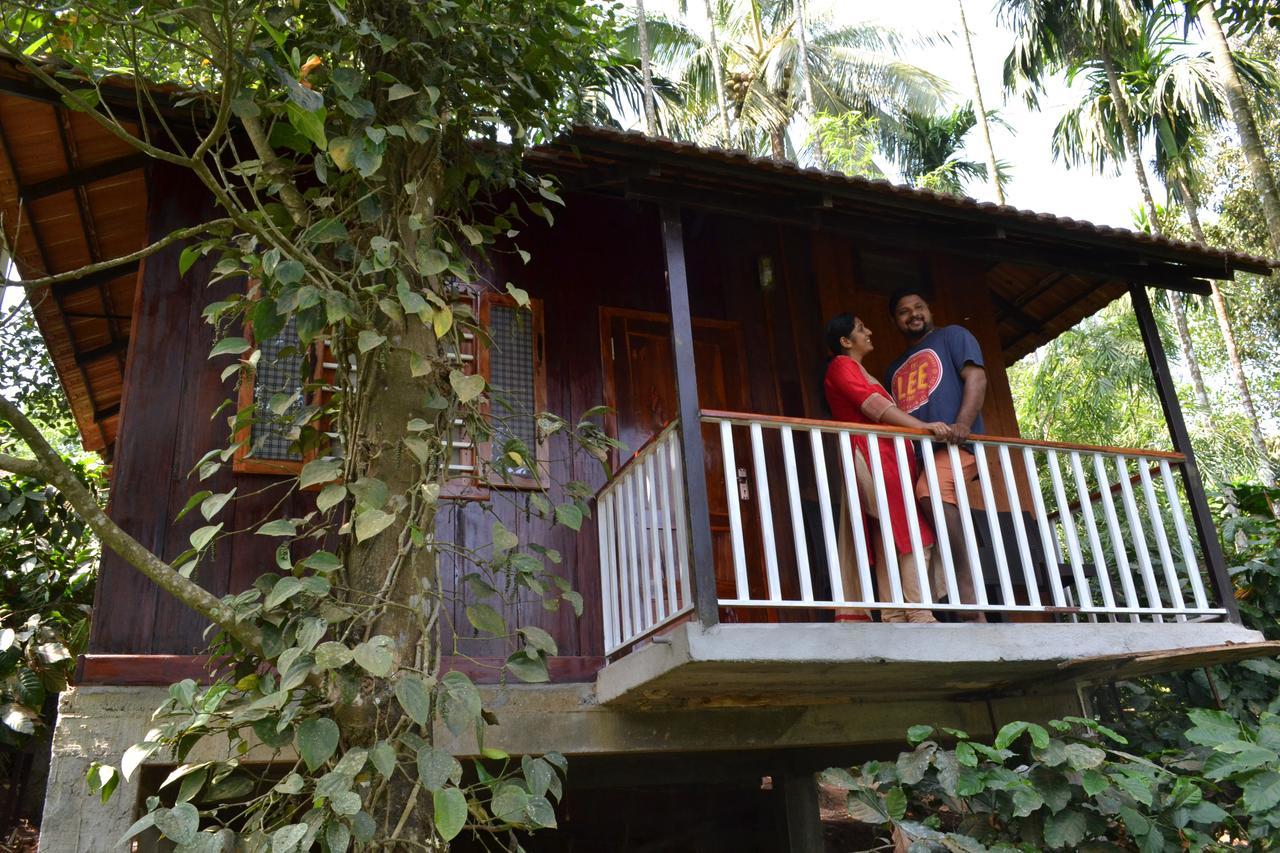 فيثيري Little Home Resort المظهر الخارجي الصورة